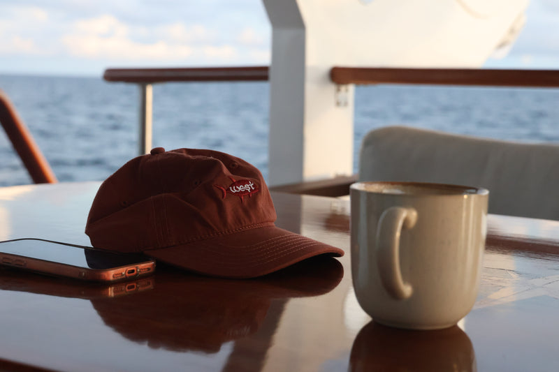 Load image into Gallery viewer, West GT Dad Hat (Clay)
